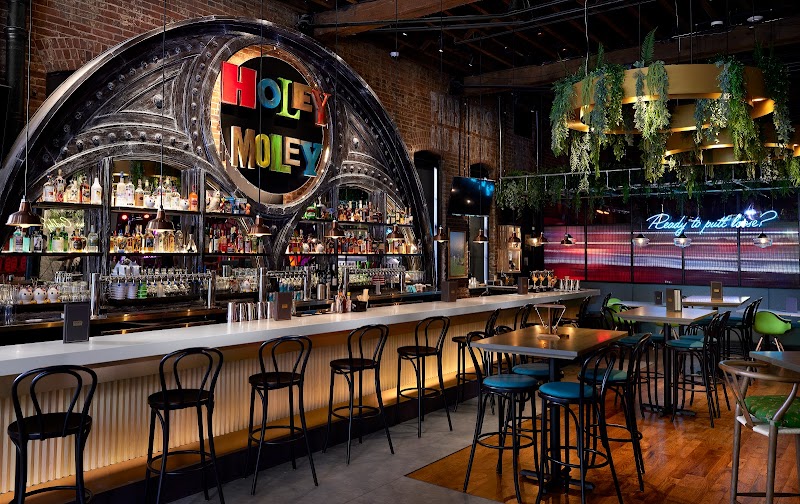 Holey Moley Golf Club Denver