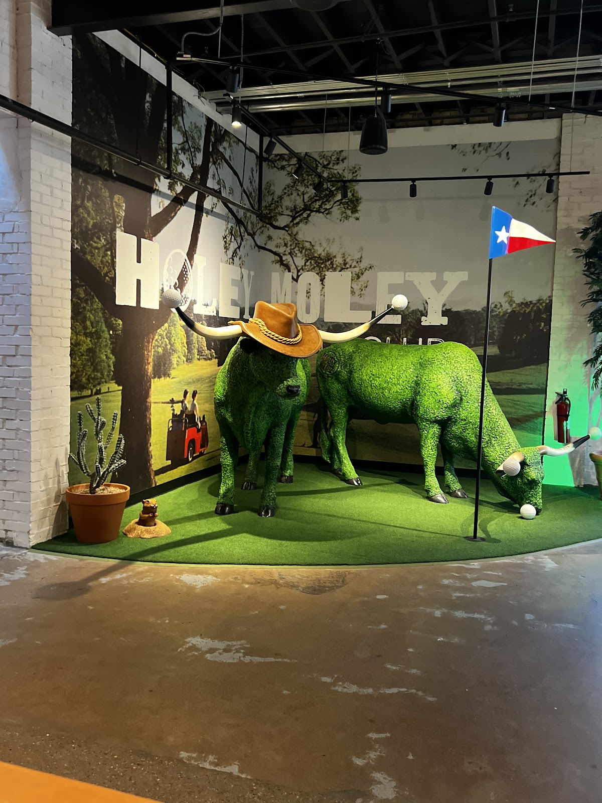 Holey Moley Golf Club Austin