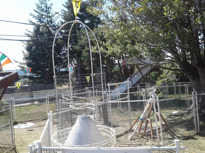 Amaze Zing Outdoor Game