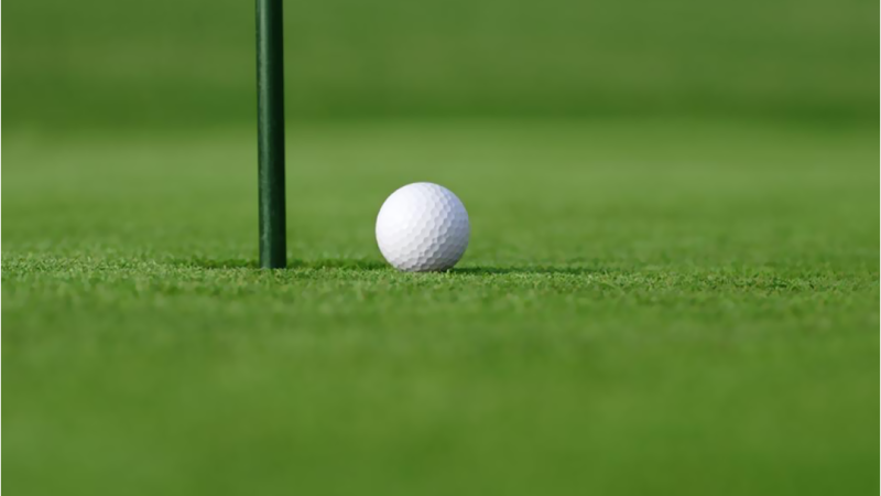 Jungle Lagoon Miniature Golf