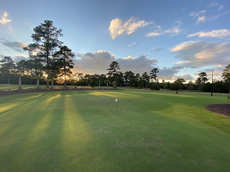 Palmetto Traverse Putting Green