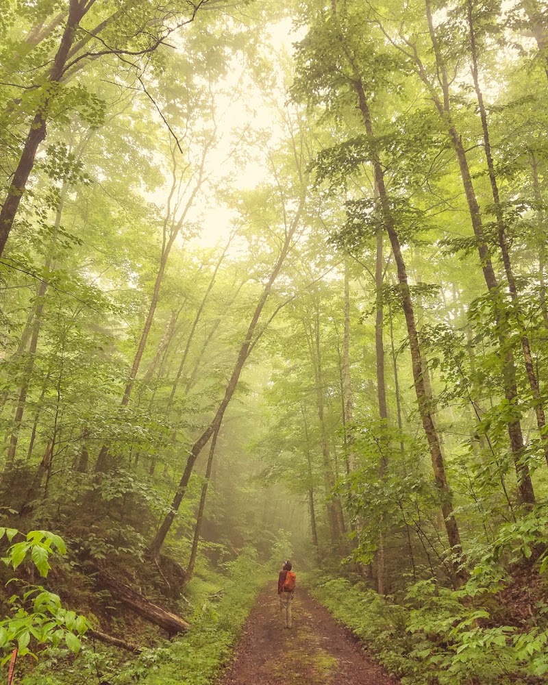 Green Mountain Adventure Challenge